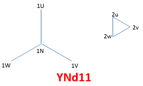 YNd11 Vector Group
