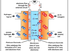 Hydrogen Fuel Cell